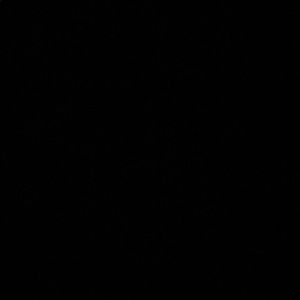 Meet your Posher, Zsch